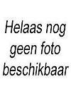 Bettine van Boxel