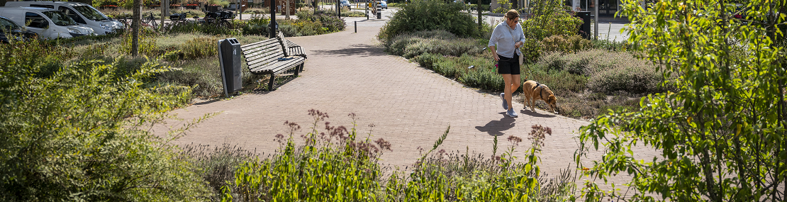 Een groene stadseomgeving aan de Oostwal in gemeente Oss