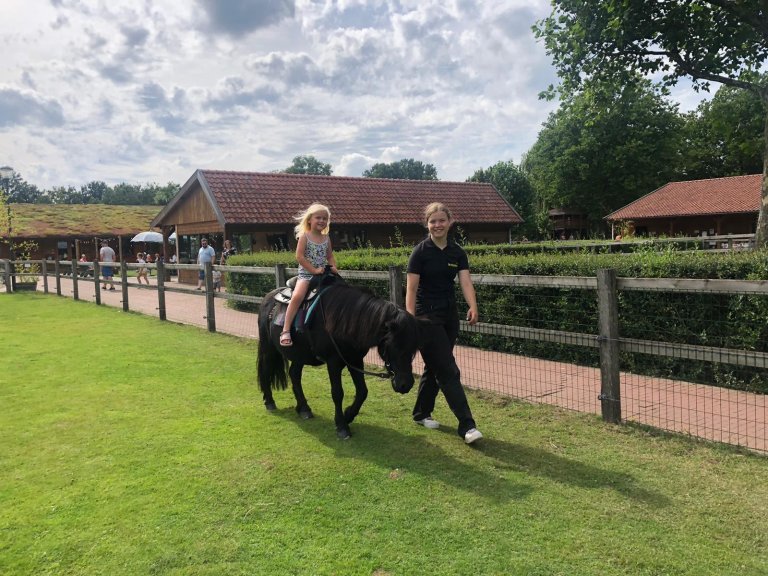Paarden- en ponydag op De Elzenhoek