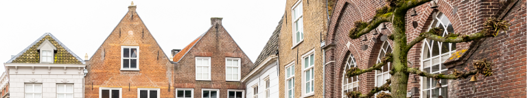 Daken van monumentale woningen in gemeente Oss