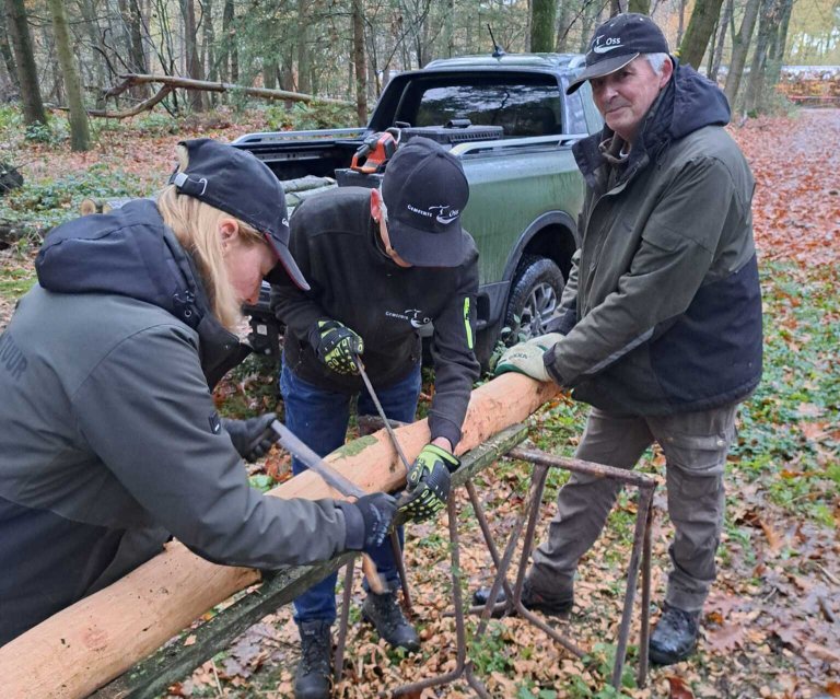 Vrijwilligers gezocht voor bosbeheer