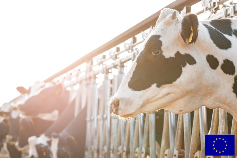 Satellietdata geeft Osse boeren beter inzicht in ammoniakuitstoot